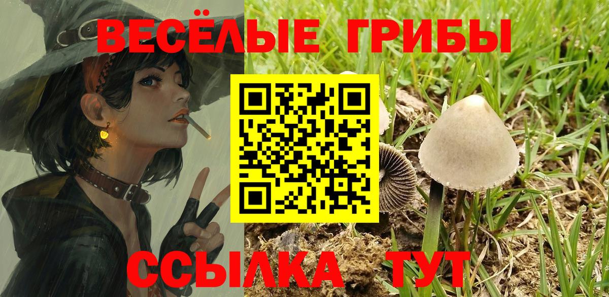 Галлюциногенные грибы мицелий Рубцовск