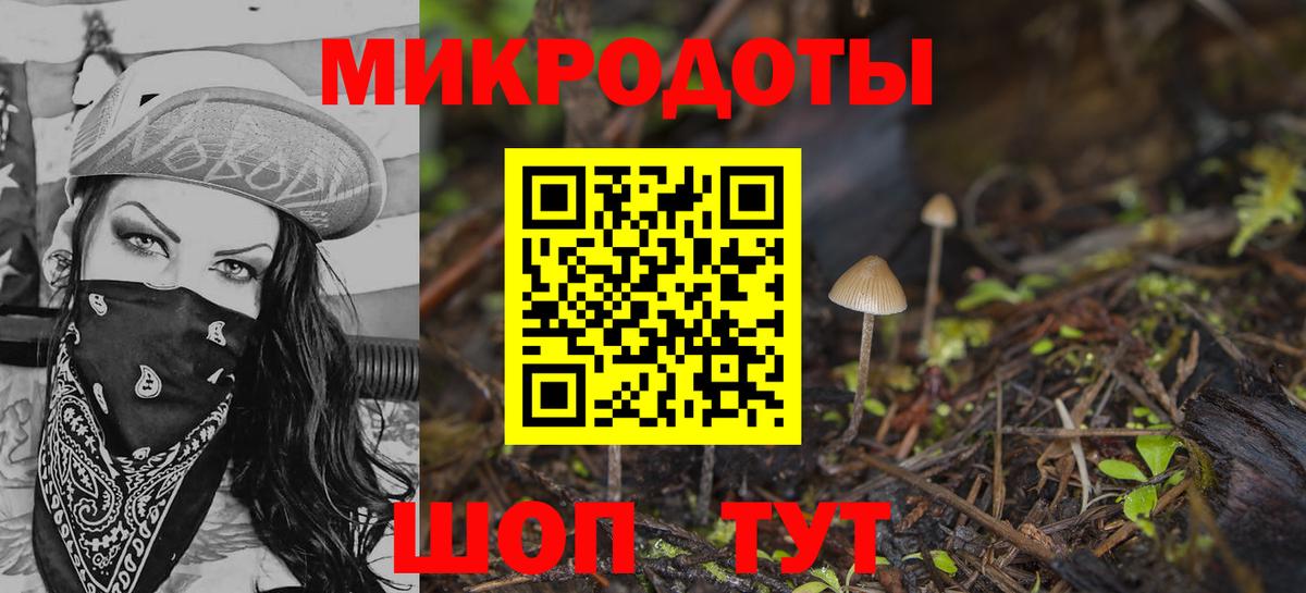 Галлюциногенные грибы GOLDEN TEACHER  Вход с VPN  Рубцовск  Псилоцибиновые грибы мухоморы 